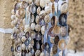 Closeup of hung seashell decorations Royalty Free Stock Photo