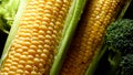 Closeup photo of water rain droplets on ripe sweetcorn ears. Background for healthy food and GMO free products.Diet Royalty Free Stock Photo