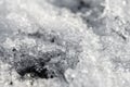 Closeup of ice crystals and snow Royalty Free Stock Photo