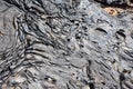 Ripples in dry lava igneous rock