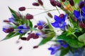 Closeup of Ikebana. Royalty Free Stock Photo