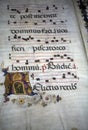 Closeup of an illuminated medieval manuscript on a  parchment with the historical Gregorian chant Royalty Free Stock Photo