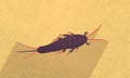 Closeup Illustration of a silverfish on yellow grunge background.