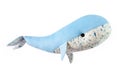 Closeup image of blue toy whale pillow with ornament isolated Royalty Free Stock Photo