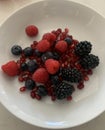 Closeup image of a bowl of mixed berries and pomegranate