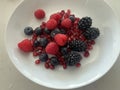 Closeup image of a bowl of mixed berries and pomegranate Royalty Free Stock Photo