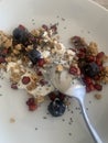 Closeup image of a bowl of organic yoghurt, granola, blueberries, pomegranate arils, chia seeds and honey Royalty Free Stock Photo