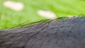 Closeup image capturing the intricacies of human skin texture in macro.