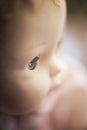 Creepy Doll Face Closeup Royalty Free Stock Photo