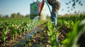 A closeup image of a farmer carefully adjusting the flow of water from a soaker hose onto a row of corn plants. The hose Royalty Free Stock Photo