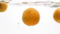 Closeup image of fresh ripe oranges falling and splashing in water against white background Royalty Free Stock Photo