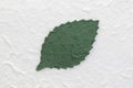 Closeup image of a leaf cut out of green textured craft paper