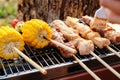 Grilled vegetable and chicken skewers on a hot barbecue Royalty Free Stock Photo