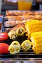 Grilled vegetable and chicken skewers on a hot barbecue Royalty Free Stock Photo