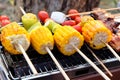 Grilled vegetable and chicken skewers on a hot barbecue Royalty Free Stock Photo