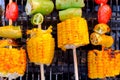 Grilled vegetable and chicken skewers on a hot barbecue Royalty Free Stock Photo