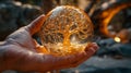 A closeup image of a hand holding a crystal ball with a tree of life etched onto its surface. The crystal ball Royalty Free Stock Photo
