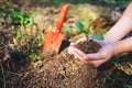 Hands holding and preparing small tree with soil to grow in the garden