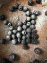 Closeup image of a homemade blueberry cake