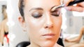 Closeup image of makeup artist painting model`s eyelids with brush