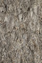 Closeup image of pressed wood texture Royalty Free Stock Photo