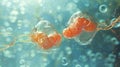 Closeup of Fertility and Intimacy Concept Royalty Free Stock Photo