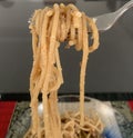 Closeup image of spaghetti on a fork Royalty Free Stock Photo