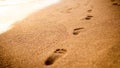 Closeup image of stright line of human footprints on the golden wet sand at sea beach on the sunset Royalty Free Stock Photo