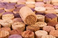 Closeup image of wine bottle corks Royalty Free Stock Photo