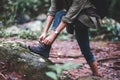 A woman hiker tying shoelaces and getting ready for trekking in the forest Royalty Free Stock Photo