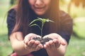 Closeup image of woman`s hands holding soil and small tree to glow Royalty Free Stock Photo