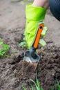 Closeup image of woman with spade digging soil Royalty Free Stock Photo