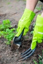 Closeup image of woman with spade digging soil Royalty Free Stock Photo