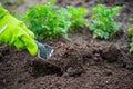 Closeup image of woman with spade digging soil Royalty Free Stock Photo