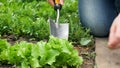 Closeup image of woman with spade digging soil in garden