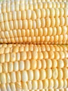 closeup image of yellow corn kernels Royalty Free Stock Photo