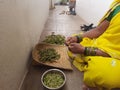 Closeup of Indian traditional dress saree wear women peeling skin of Togari Kayi or Green pigeon peas outside of the home