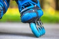 Closeup of inline roller skate blue wheels.