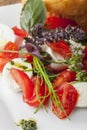 Closeup of an insalada caprese Royalty Free Stock Photo