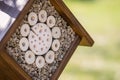 Closeup insect hotel or house on tree Royalty Free Stock Photo