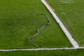 Closeup installation of football field with artificial turf with grass. Close up of line of an artificial football field. Details