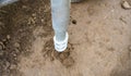 Closeup of iron support on a wooden pillar on the construction site with screw. Royalty Free Stock Photo