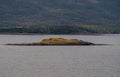 Closeup of Islet in Beagle Channel, Tierra del Fuego, Argentina