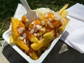 Closeup of isolated greasy fat unhealthy snack: pommes spezial with mayonnaise, ketchup and onions in plastic bowl - Netherlands