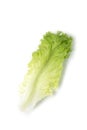 Isolated lettuce leaf on white background Royalty Free Stock Photo