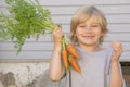 Isolated portrait of a handsome blonde caucasian boy with bunch of carrots 2 Royalty Free Stock Photo