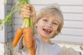 Isolated portrait of a handsome blonde caucasian boy with bunch of carrots Royalty Free Stock Photo