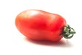 italian roma tomato on white background