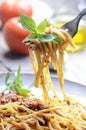 Closeup of italian spaghetti bolognese with basil in fork. Traditional homemade mediterranean food recipe