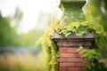 closeup of ivycovered chimney in lush prairie greenery Royalty Free Stock Photo